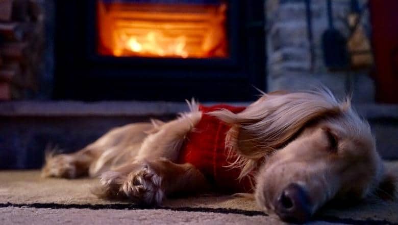 dog sleeping next to a fireplace