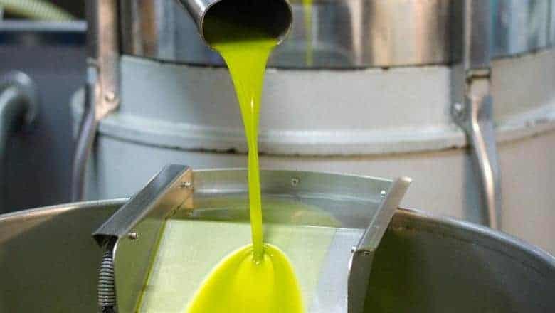 olive oil extraction in oil mill