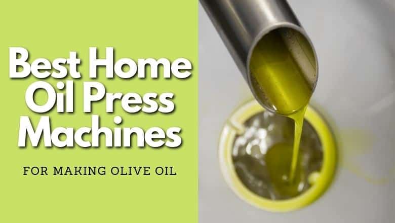 olive oil press machines for home use