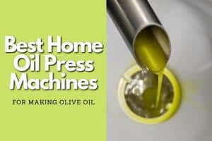 best home olive oil press machines