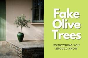 faux olive trees guide