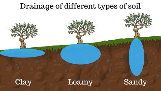 drainage properties of different types of soil, clay, sandy, loamy