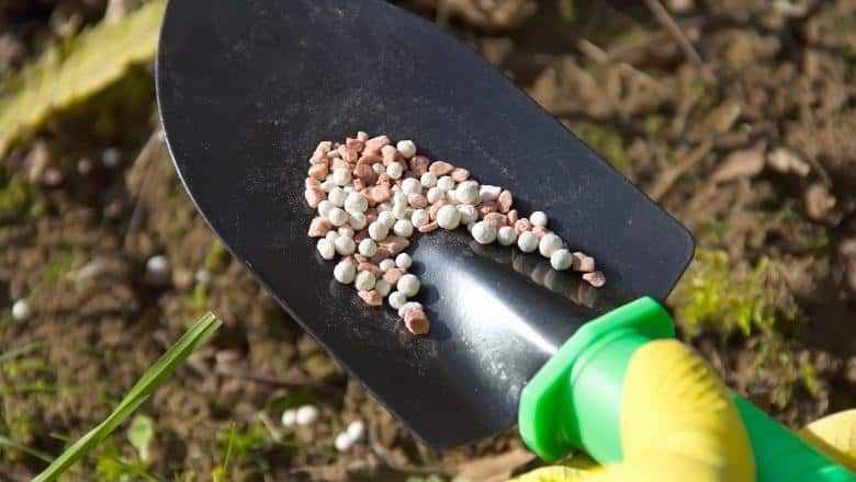 spatula filled with fertilizer