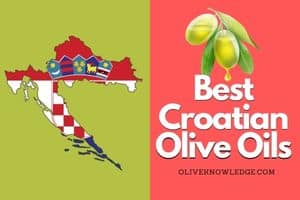 Read more about the article 3 Best Croatian Olive Oils To Buy (Available In The USA)