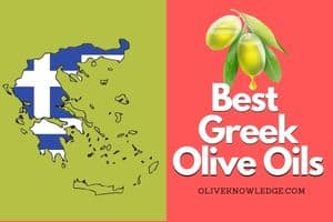 Read more about the article 5 Best Greek Olive Oils To Buy in The USA