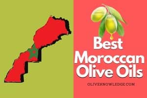 best moroccan olive oils