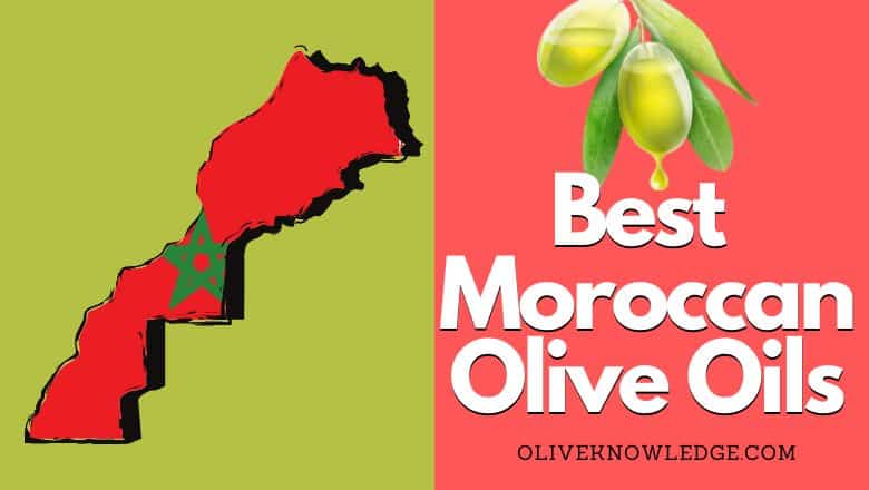 best moroccan olive oils, extra virgin olive oils, 