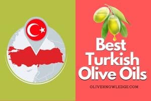 Read more about the article 5 Best Turkish Extra Virgin Olive Oils in The USA
