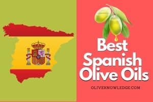 what's the best spanish olive oil
