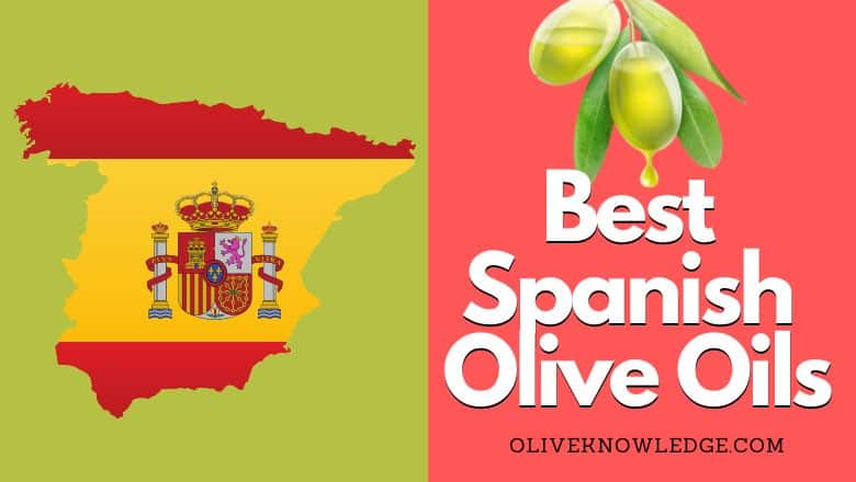 best Spanish extra virgin olive oil