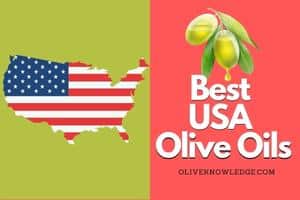 Read more about the article 7 Best Extra Virgin Olive Oils From The USA