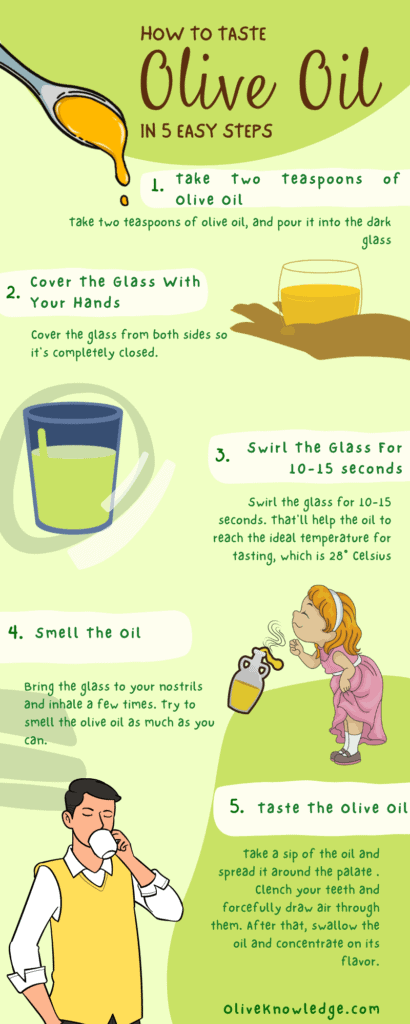 how to taste olive oil, steps to taste olive oil, infographic