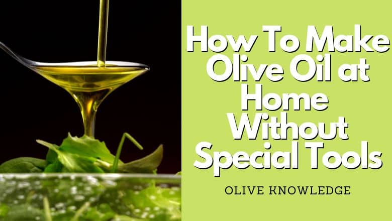 guide for making olive oil at home with basic tools only, 