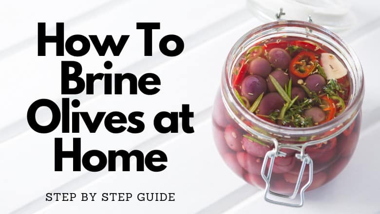 guide on brining olives at home